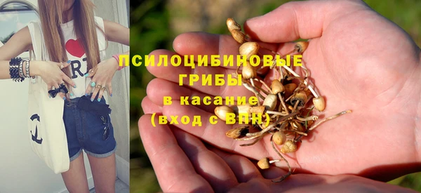 амф Навашино