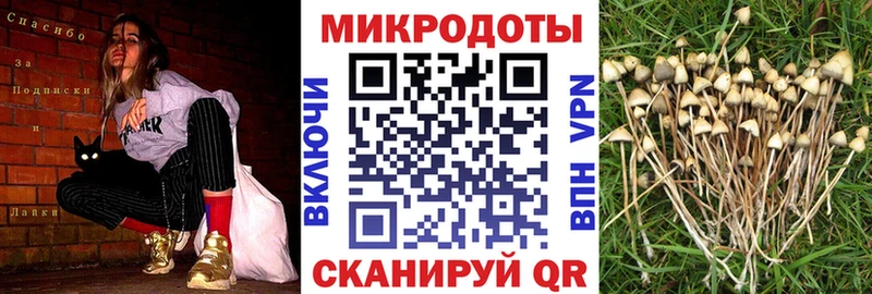 Галлюциногенные грибы ЛСД Новопавловск